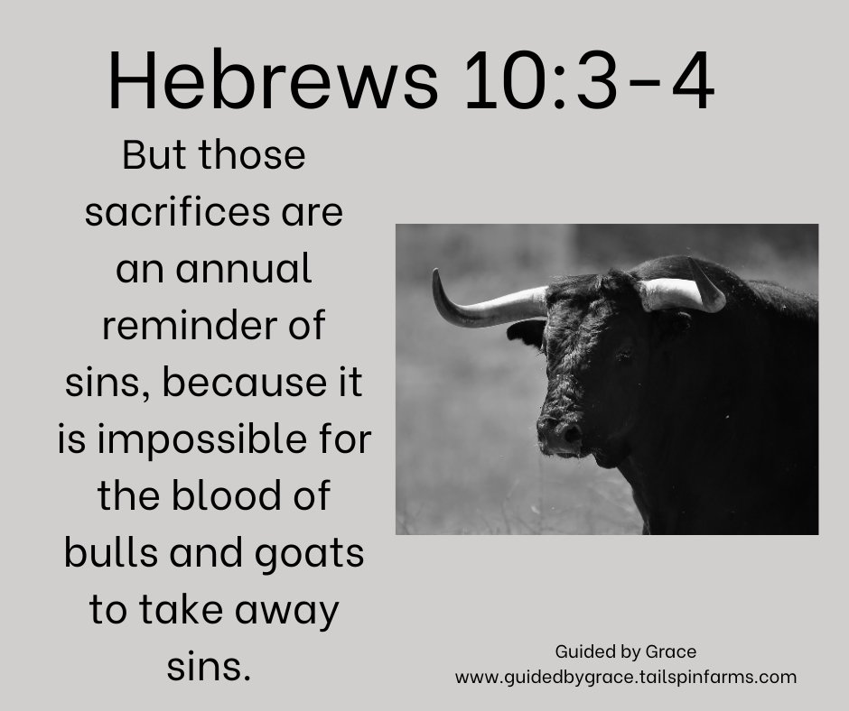 Bull Scripture THE BLOOD OF BULLS / HEBREWS 10:4 - Guided By Grace