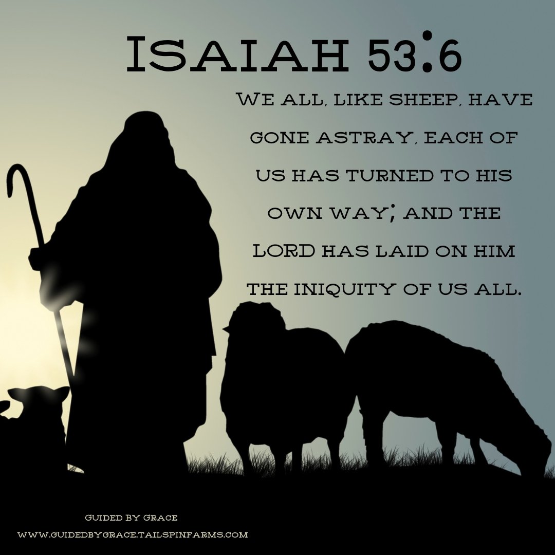 WE ALL LIKE SHEEP HAVE GONE ASTRAY ISAIAH 53 6 Guided By Grace We all like sheep have gone astray isaiah 53 6 guided by grace