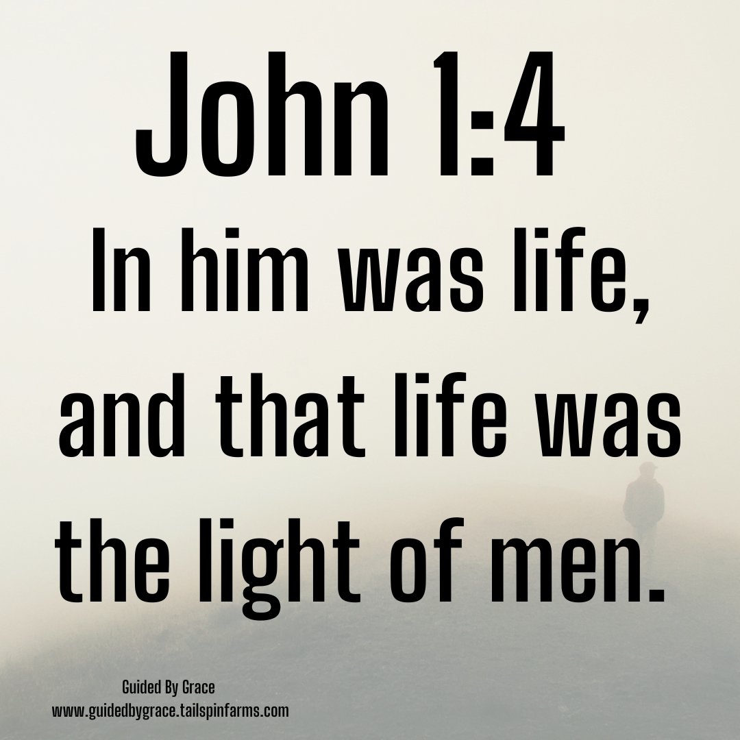 LIFE WAS THE LIGHT OF MEN / JOHN 1:4 - Guided By Grace