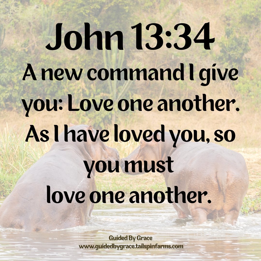 LOVE ONE ANOTHER / JOHN 13:34 - Guided By Grace
