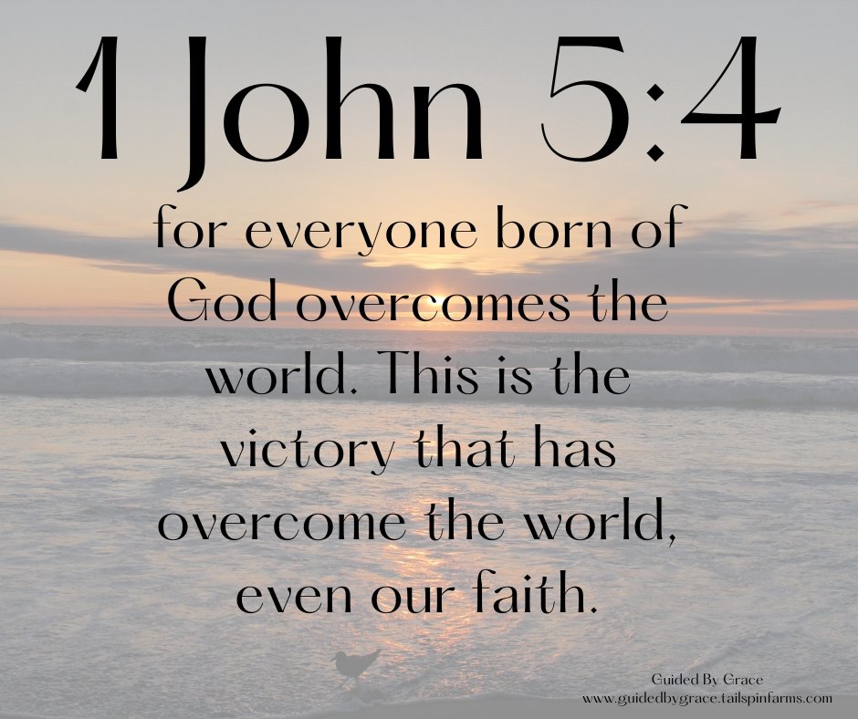 1 John Archives - Guided By Grace