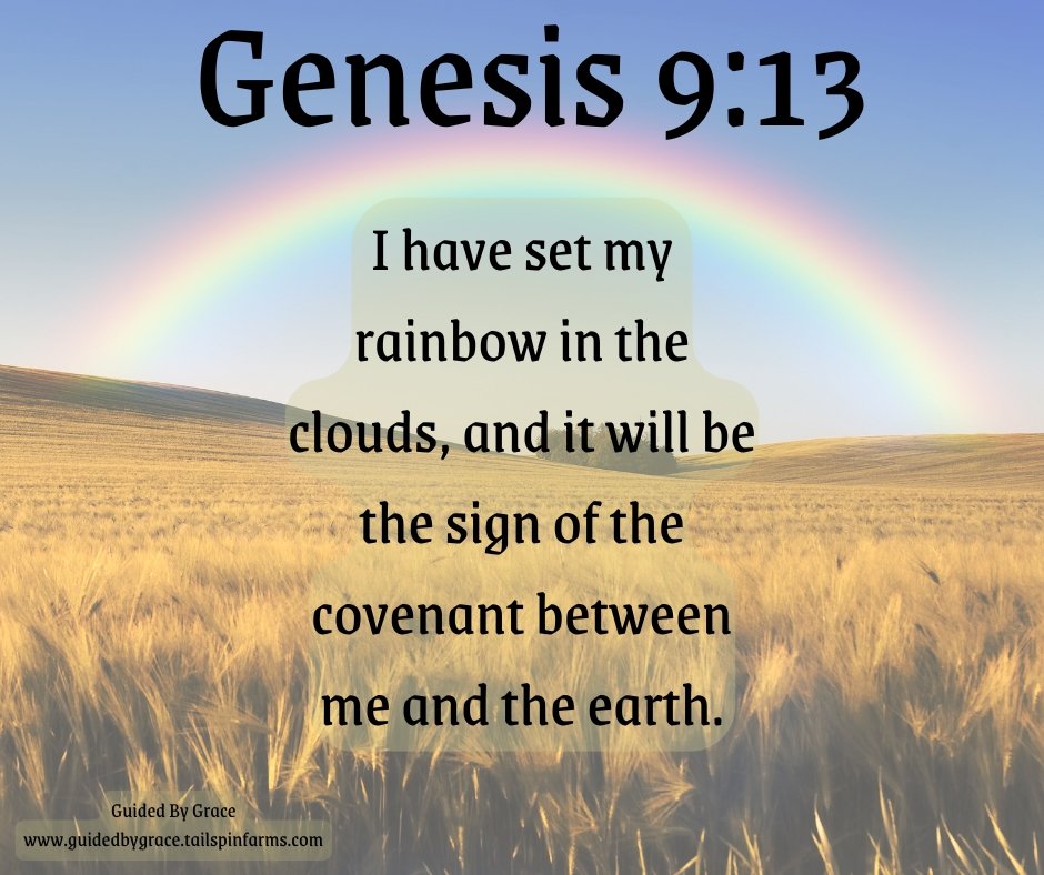 MY RAINBOW IN THE CLOUDS / GENESIS 9:13 - Guided By Grace