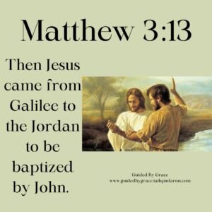 Jesus Baptized Matthew 3 13 Guided By Grace