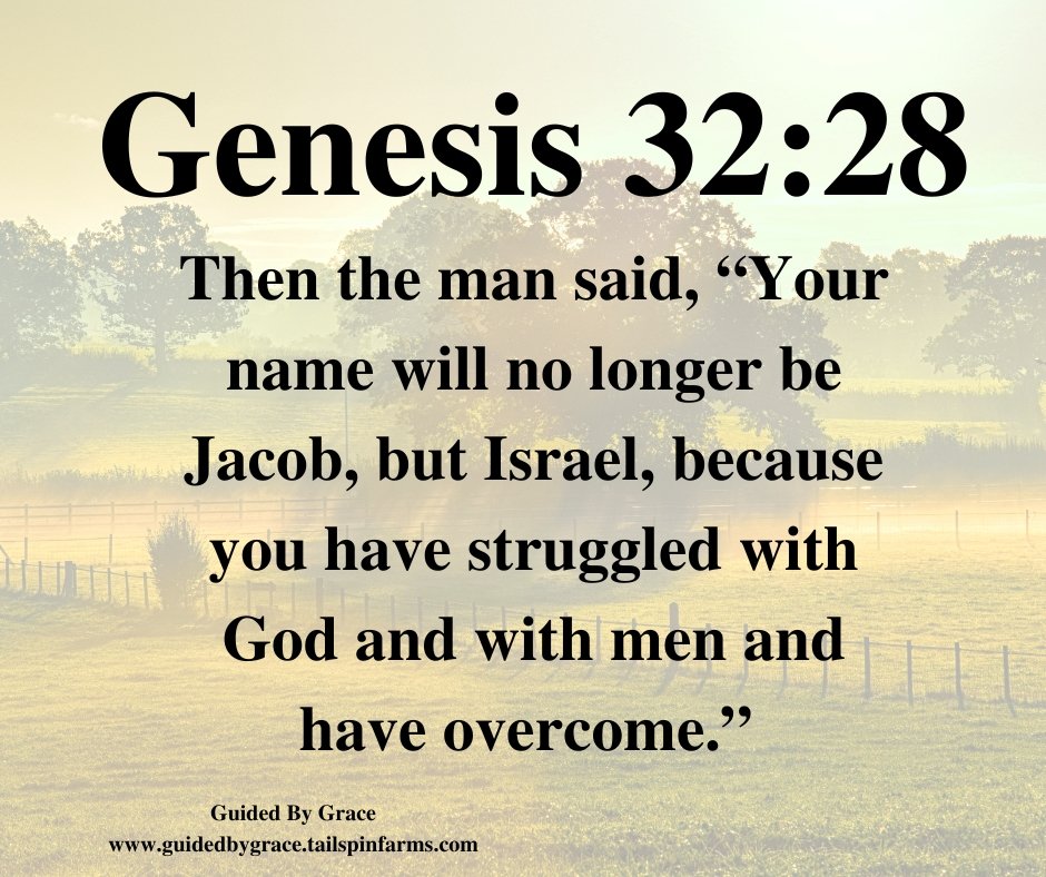 YOUR NAME ... ISRAEL / GENESIS 32:28 - Guided By Grace